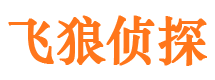 凤县市婚姻出轨调查